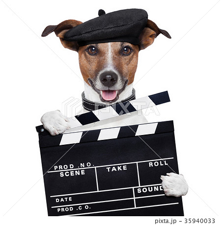 movie clapper board director dog movie clapper board director dog 35940033