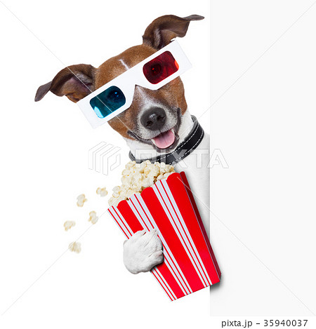 cinema dog 35940037