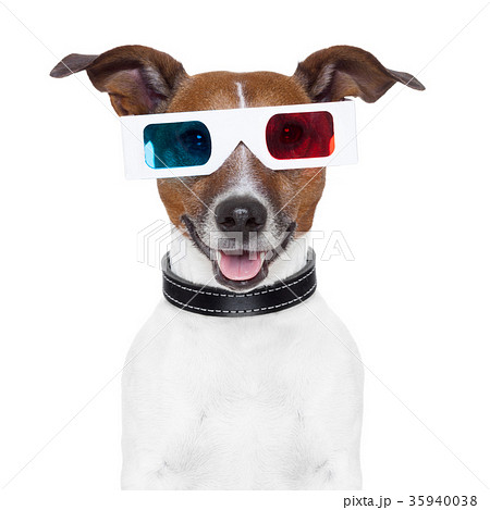 3d  glasses movie cinema dog 35940038