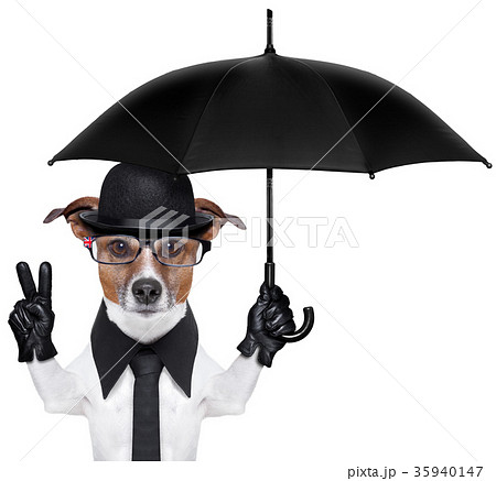 british dog banner british dog banner 35940147