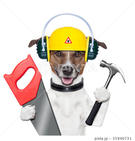 handyman dog handyman dog 35940731