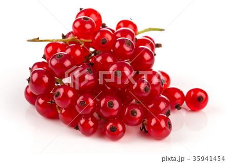 Red currant isolated Red currant isolated 35941454