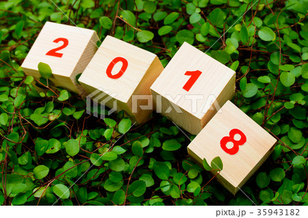 2018 2018 35943182