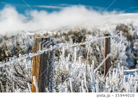 Landscape with hoarfrost on the fence Landscape with hoarfrost on the fence 35944010