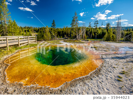 Hot thermal spring in Yellowstone Hot thermal spring in Yellowstone 35944023