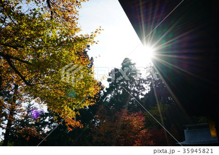 西条市・西山興隆寺 35945821