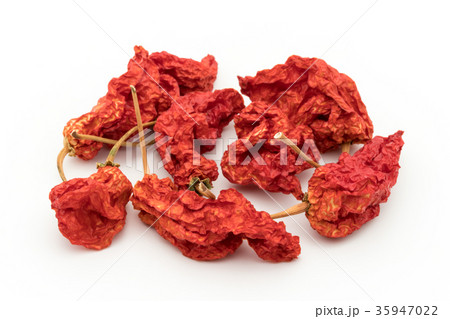 乾燥ゴーストペッパー(ブートジョロキア):dry ghost pepper 乾燥ゴーストペッパー(ブートジョロキア):dry ghost pepper 35947022