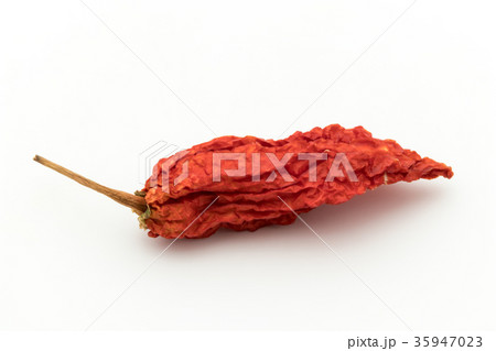 乾燥ゴーストペッパー(ブートジョロキア):dry ghost pepper 乾燥ゴーストペッパー(ブートジョロキア):dry ghost pepper 35947023