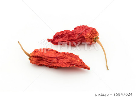 乾燥ゴーストペッパー(ブートジョロキア):dry ghost pepper 乾燥ゴーストペッパー(ブートジョロキア):dry ghost pepper 35947024