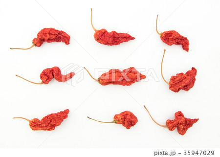 乾燥ゴーストペッパー（ブートジョロキア）:dry ghost pepper 35947029