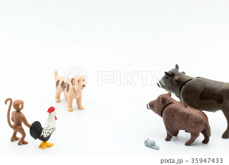 戌年（イヌ） 35947433