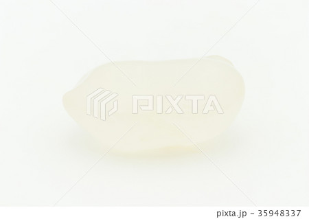 パームフルーツ（パームナッツ）：Sugar Palm Fruit (Kaong) 35948337