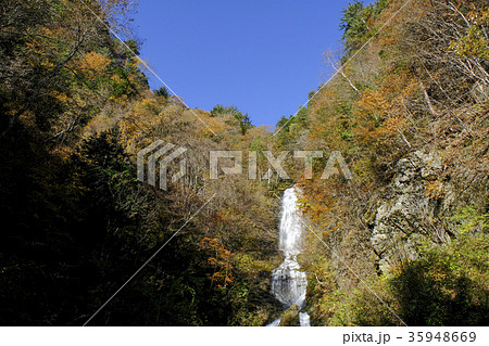 木曽の唐沢の滝 35948669