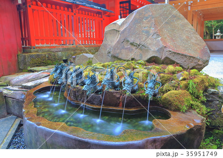 箱根神社の龍神水 箱根神社の龍神水 35951749