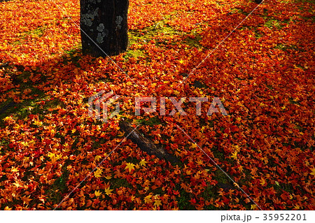 秋の気配 秋の気配 35952201