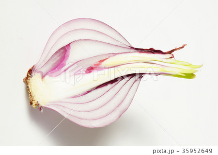 いつの間にか、紫色タマネギの新芽が出ていました（半割）-2 35952649
