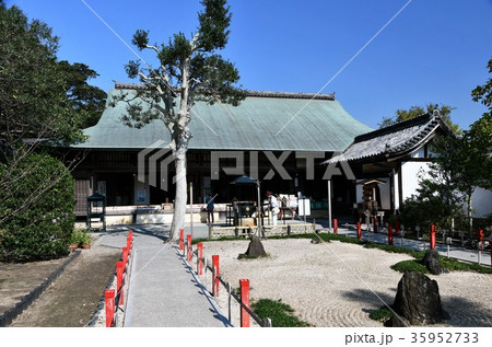 野間大坊　本殿　鐘楼堂　巡拝路　大門　悠紀殿 35952733
