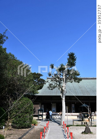 野間大坊　本殿　鐘楼堂　巡拝路　大門　悠紀殿 35952737