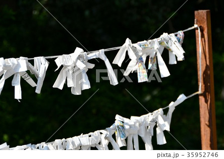 野間大坊 本殿 鐘楼堂 巡拝路 大門 悠紀殿 野間大坊 本殿 鐘楼堂 巡拝路 大門 悠紀殿 35952746