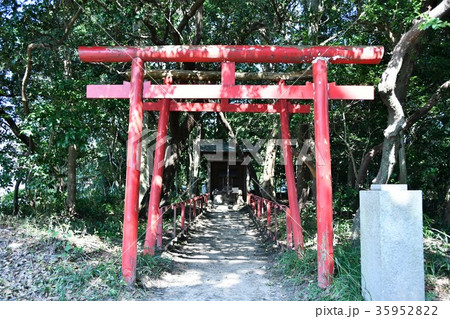 野間大坊　本殿　鐘楼堂　巡拝路　大門　悠紀殿 35952822