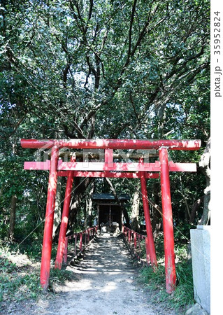 野間大坊　本殿　鐘楼堂　巡拝路　大門　悠紀殿 35952824