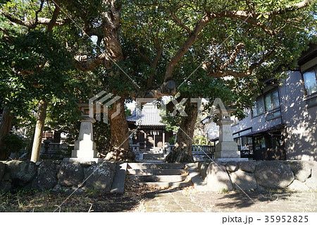 鎌倉 八坂大神  Yasakaookami-shrine 35952825