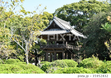 野間大坊 本殿 鐘楼堂 巡拝路 大門 悠紀殿 野間大坊 本殿 鐘楼堂 巡拝路 大門 悠紀殿 35952832