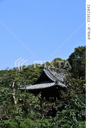 野間大坊　本殿　鐘楼堂　巡拝路　大門　悠紀殿 35952842