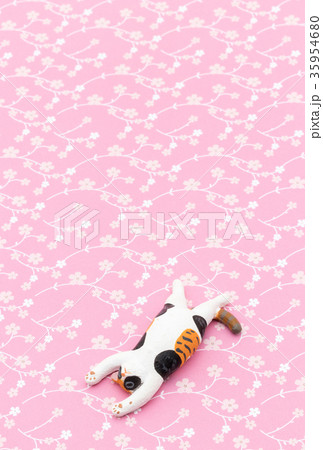 寝ている猫:Sleeping cat 寝ている猫:Sleeping cat 35954680