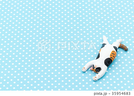 寝ている猫：Sleeping cat 35954683