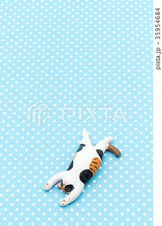 寝ている猫：Sleeping cat 35954684