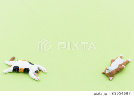 寝ている猫と犬：Sleeping cat and dog 35954697