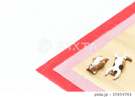 寝ている犬と猫：Sleeping dog and cat 35954703