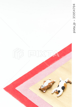 寝ている犬と猫：Sleeping dog and cat 35954704