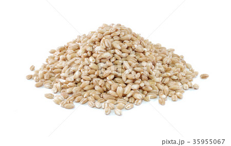 pearls barley grain seed on background pearls barley grain seed on background 35955067