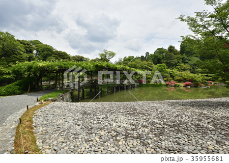 仙洞御所　南池　八ッ橋 35955681