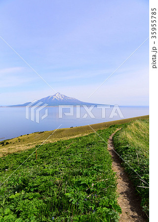 礼文島　桃岩展望台コースから見た利尻富士 35955785