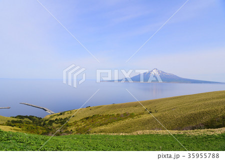 礼文島　桃岩展望台コースからの景色 35955788