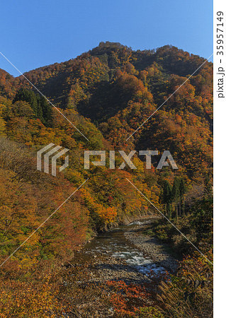 秋の清津川の風景 35957149