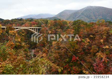 鳴子峡の紅葉と大深沢橋（宮城県） 35958234