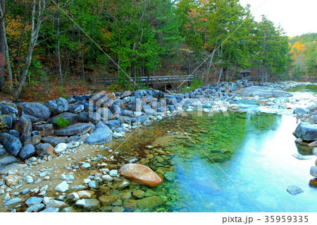 赤沢自然休養林 赤沢自然休養林 35959335