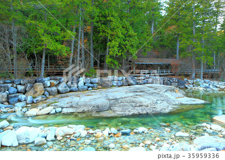 赤沢自然休養林 35959336