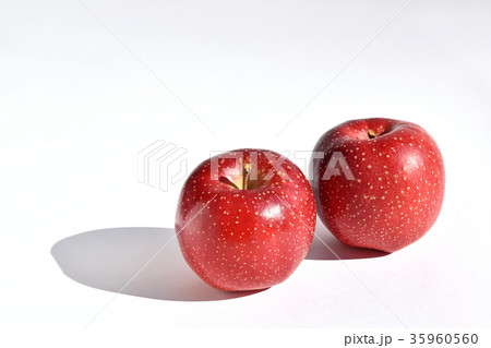リンゴ（千雪） 35960560