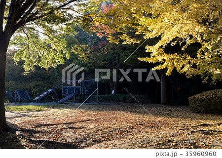 習志野市香澄公園 習志野市香澄公園 35960960