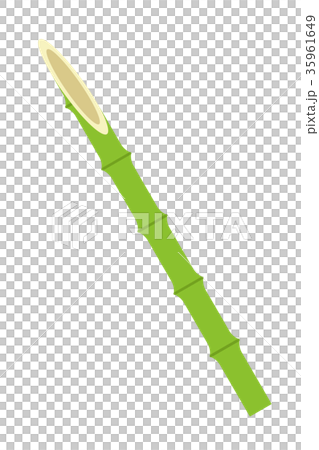 竹矛 竹矛 35961649