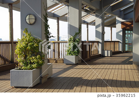 藤前干潟の野鳥観察館 35962215