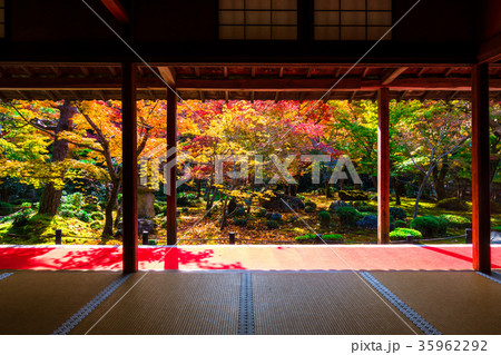 圓光寺の紅葉 圓光寺の紅葉 35962292