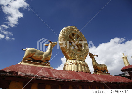 ジョカン寺の金色の鹿と法輪。2016/9/18 ジョカン寺の金色の鹿と法輪。2016/9/18 35963314