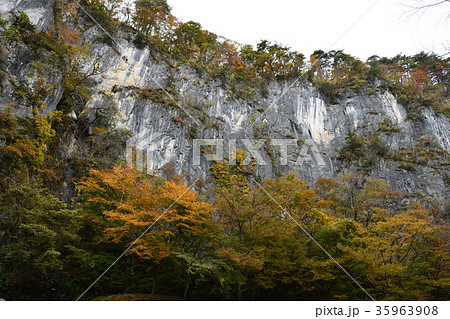 猊鼻渓の紅葉・錦壁岩(岩手県) 猊鼻渓の紅葉・錦壁岩(岩手県) 35963908