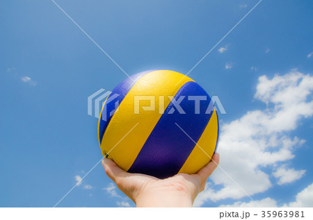 volleyball 35963981